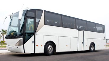 Oakland Bus Tours